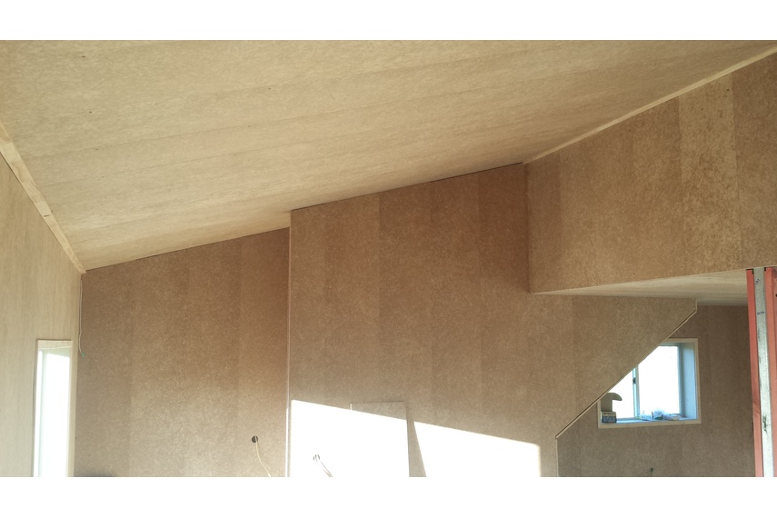 Triboard Lining and TGV Panels