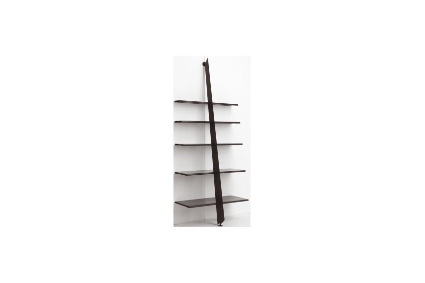 Mac Gee bookshelf