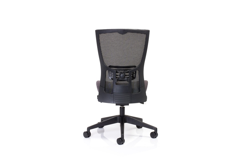 Domino - lumbar support mechanism