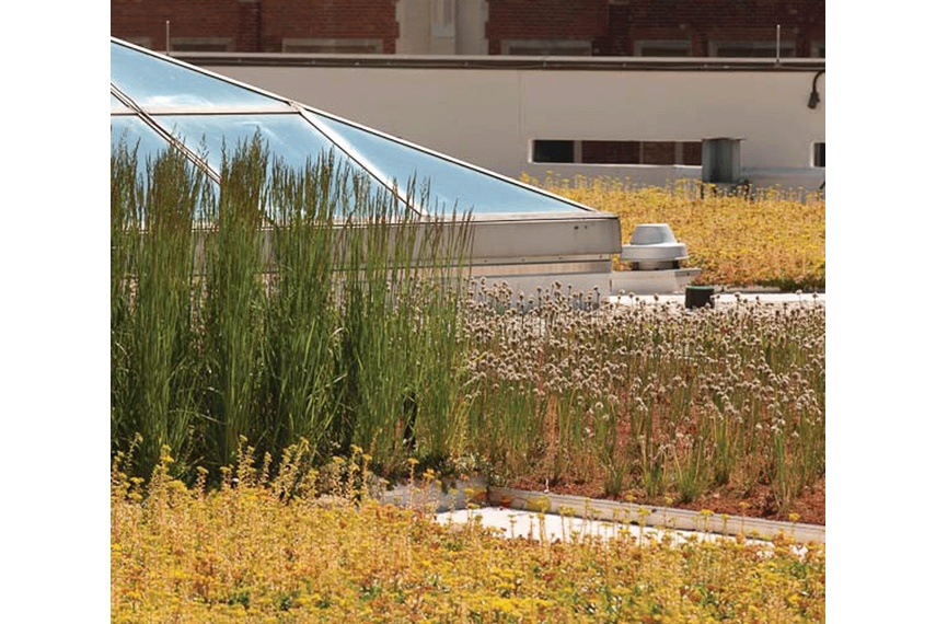 LiveRoof is an instant invisible modular green roof system.